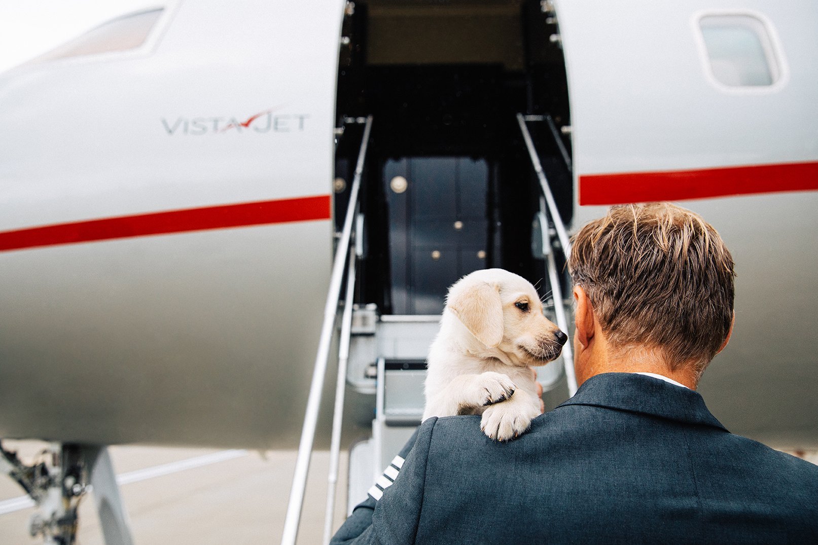 The Benefits of Flying with Your Pets . | The Rich Times